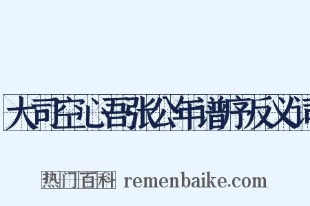 大司空心吾张公年谱序反义词是什么意思的图片